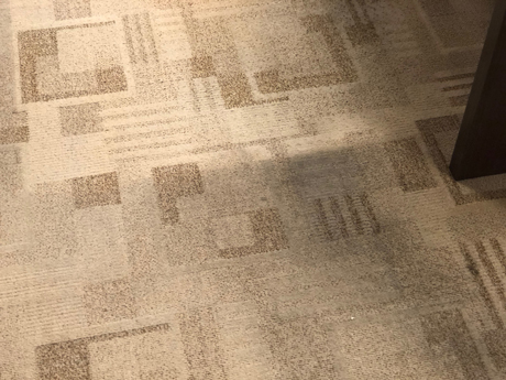 best organic carpet cleaner