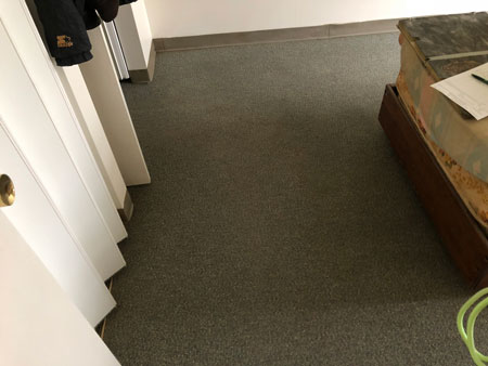 synthetic carpet pre-spray