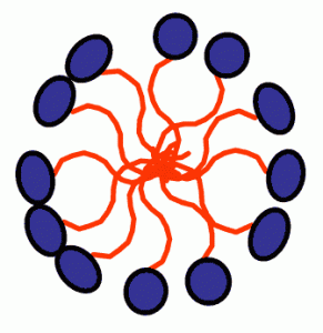 Micelle Schematic