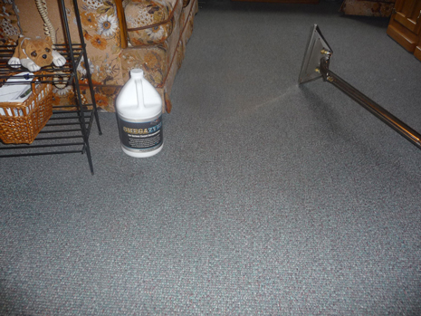 best enzyme carpet detergent