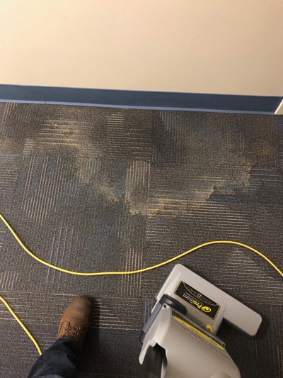 Carpet Cleaning with OxyALL Booster & Stain Fighter