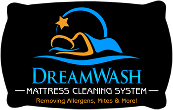 DreamWash Mattress Cleaning System