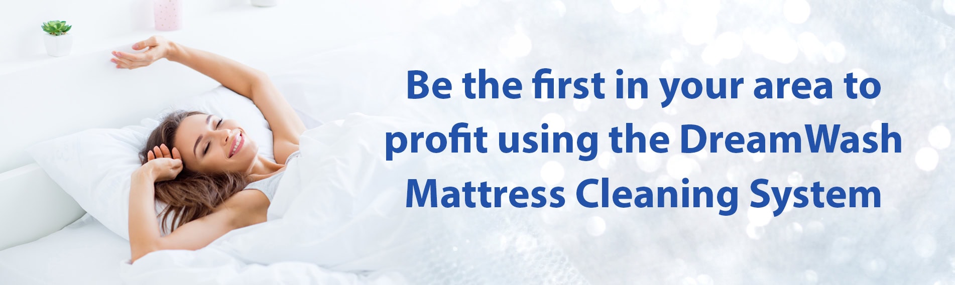 DreamWash Mattress Cleaning System Profits DreamWash Mattress Cleaning System Profits