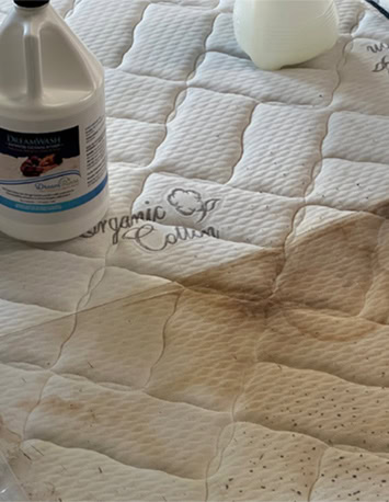 Soiled and DreamWashed Mattress Comparison