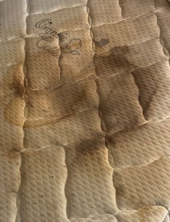 Very Soiled Mattress before DreamWash