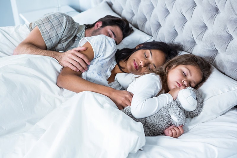 Safe, organic mattress cleaning for better sleep