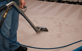 best carpet pre-spray products reviews