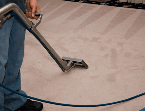 Best Carpet Pre-Spray Products Reviews