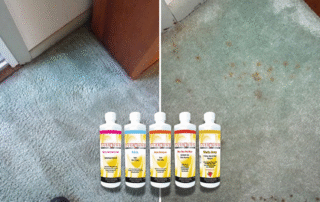 best professional carpet spotters