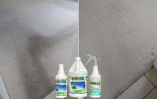 best professional environmentally safe carpet cleaner before and after