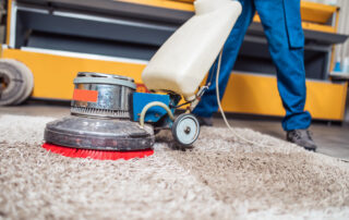 best carpet cleaner for polyester carpet
