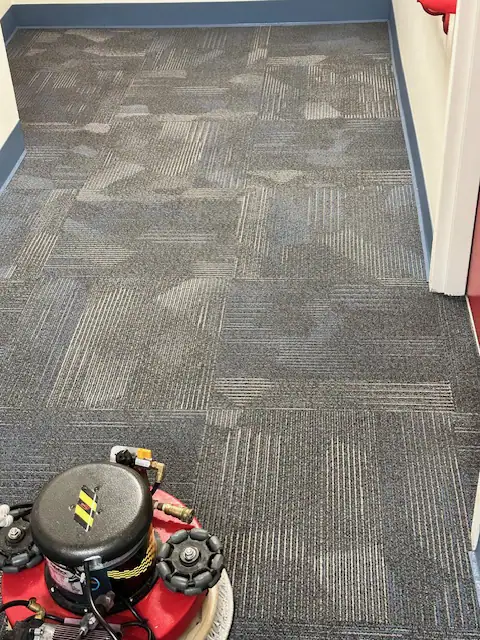 Apex 3x strength upholstery cleaner