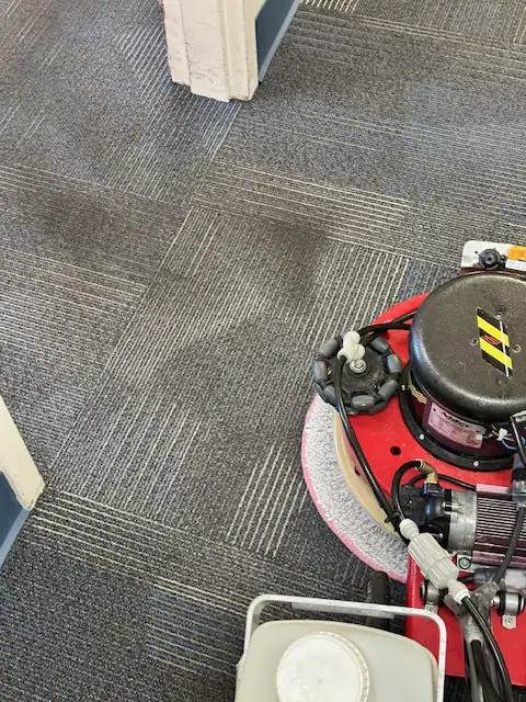 Apex concentrated cleaner