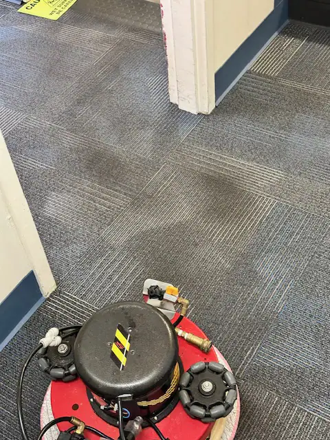 Apex concentrated hard surface cleaner