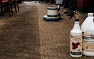 How to Get Dark Traffic Lanes Out of carpet